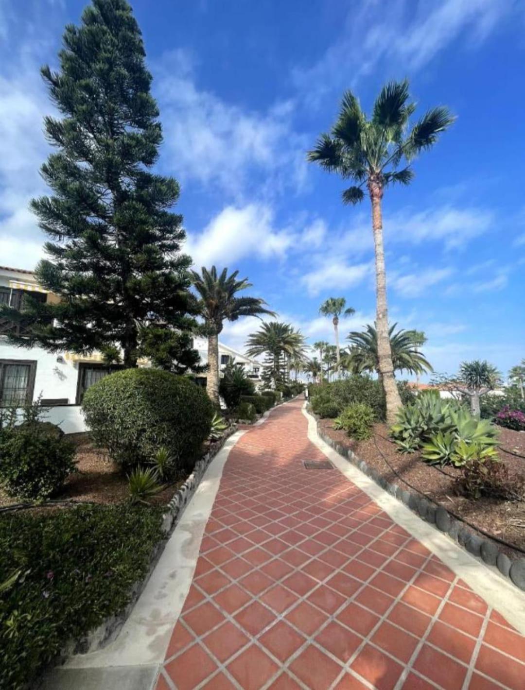 Apartment In Amarilla Golf 2 Bedrooms 圣米格尔德阿沃纳 外观 照片